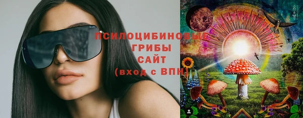 2c-b Волосово